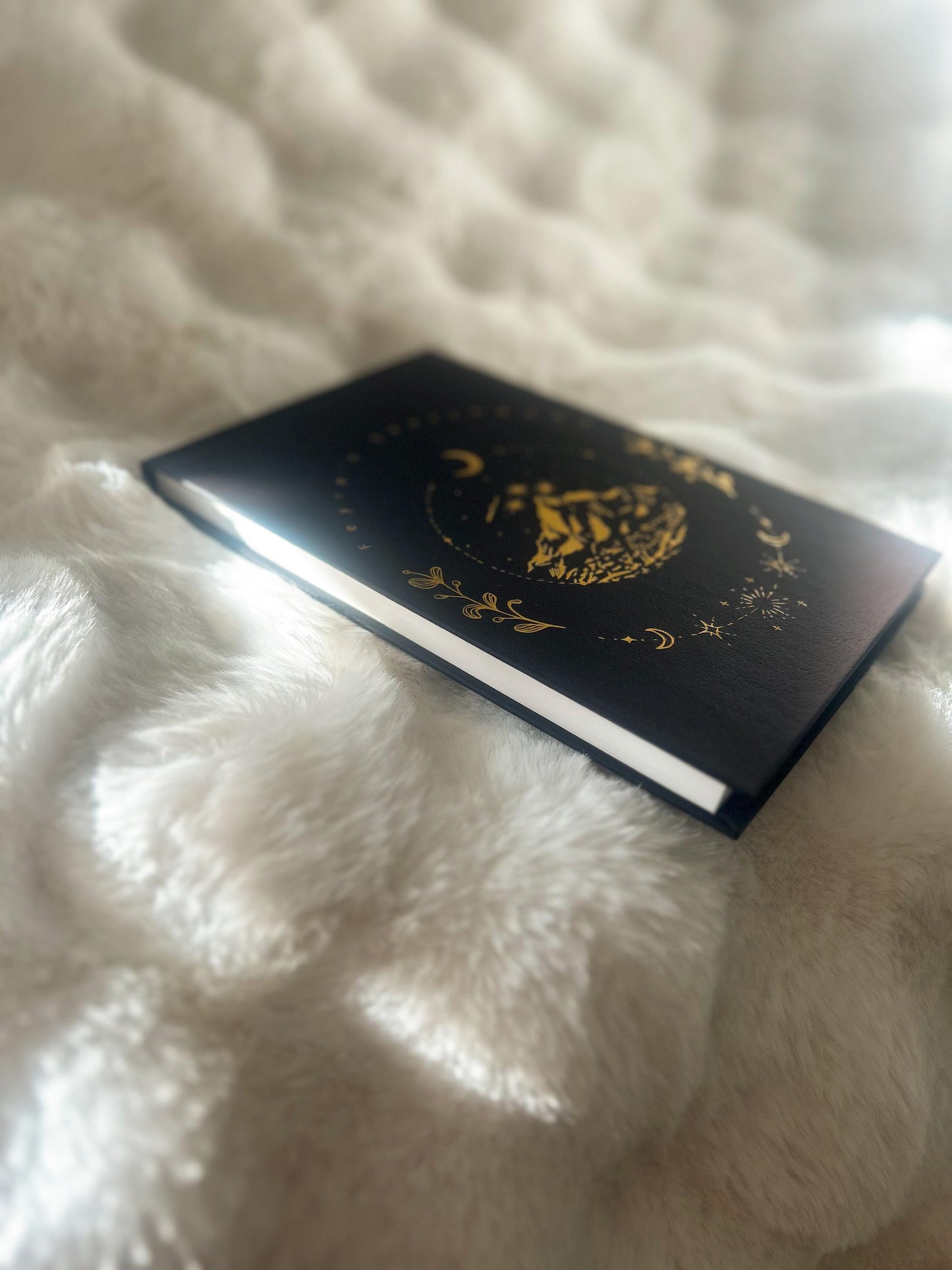 Feyre's Watercolor/Sketchbook from ACOTAR - Watercolor flip book